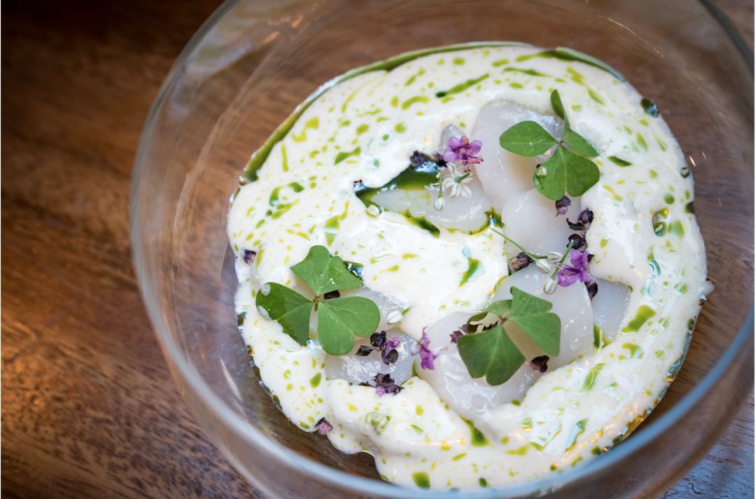 Raw scallops with herbed cream at Meliora